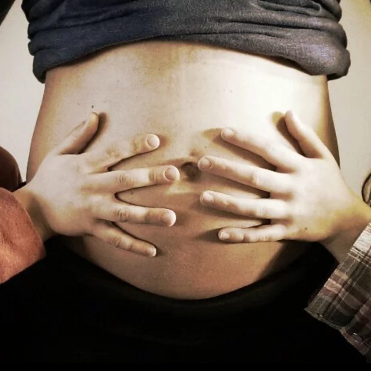cropped-cropped-confessions-of-a-gestational-carrier-belly-pic-with-hands1